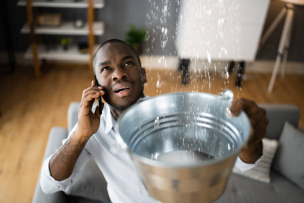 Best Water damage repair service  in West Falmouth, MA