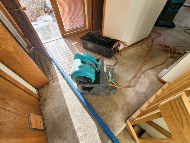 Best Mold removal after water damage  in West Falmouth, MA