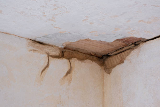 Best Water damage mitigation services  in West Falmouth, MA