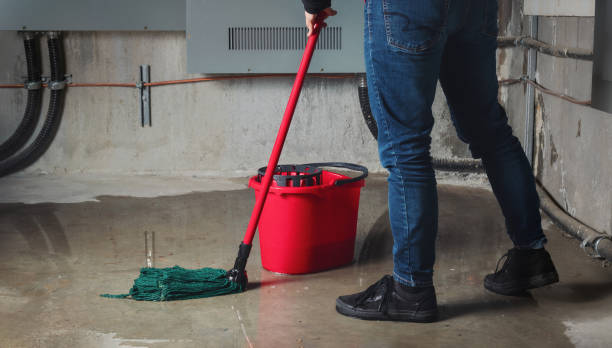 Best Water damage contractors near me  in West Falmouth, MA