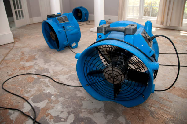 Best Carpet water damage restoration  in West Falmouth, MA