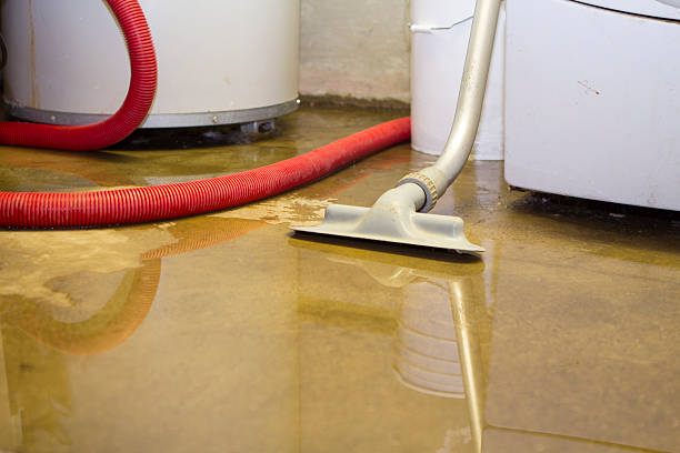 Best Local water damage restoration  in West Falmouth, MA