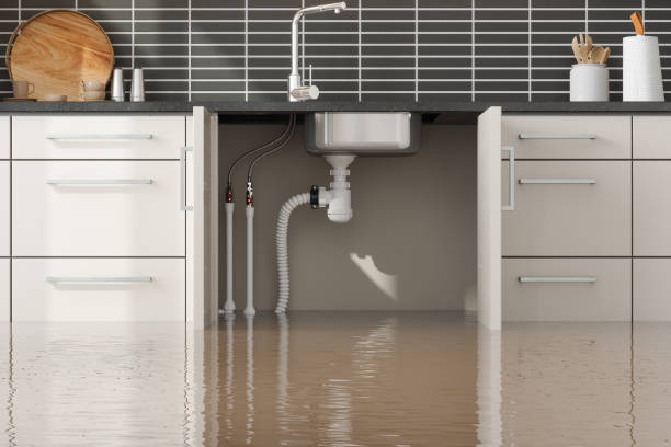  West Falmouth, MA Water damage restoration Pros