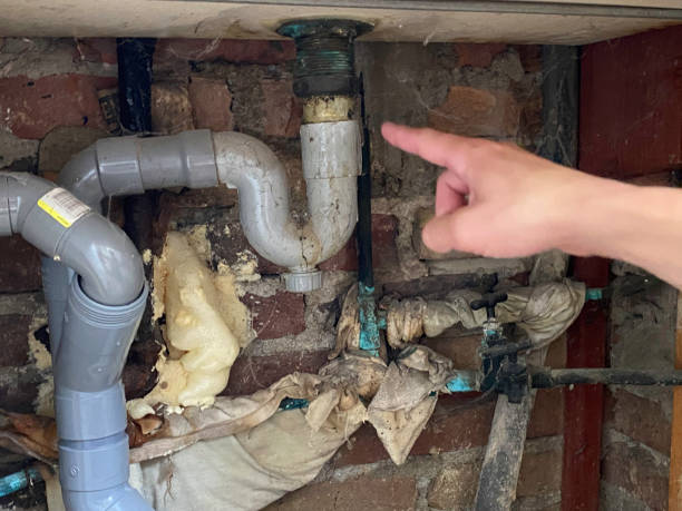 Best Local water damage restoration  in West Falmouth, MA