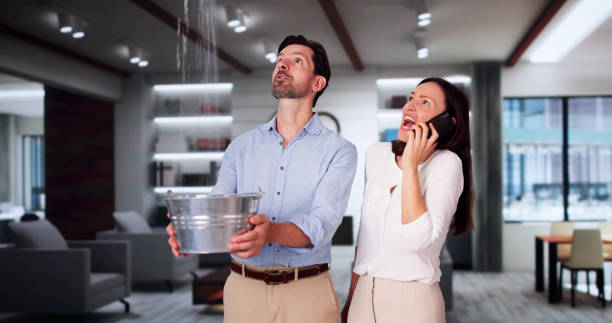 Best Flooded house restoration  in West Falmouth, MA